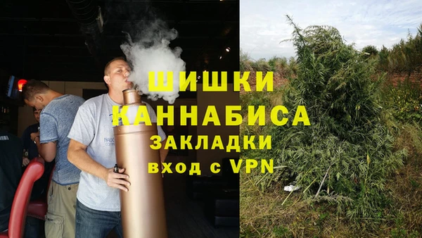 стаф Белокуриха