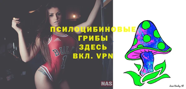 2c-b Белоозёрский