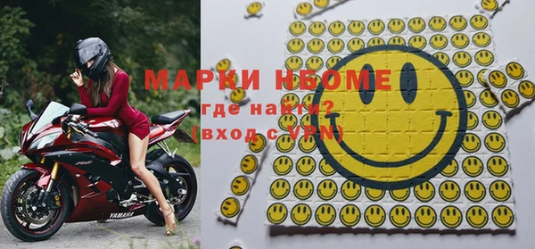 стаф Белокуриха