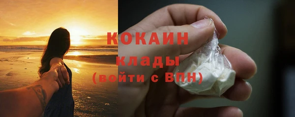 стаф Белокуриха
