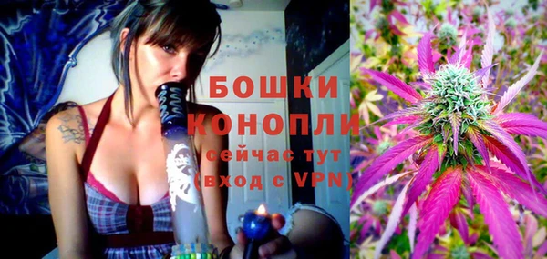 стаф Белокуриха